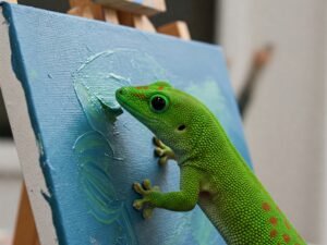 Read more about the article Google AI strategy, AI Mode in search, Gecko QC AI Images – Three 4 AI